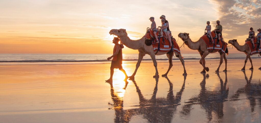 camel-rides-broome