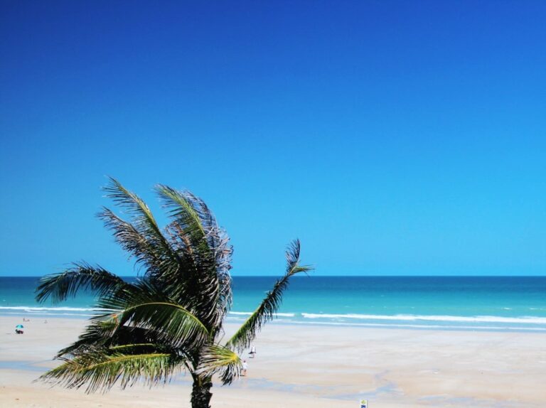Shark Bay